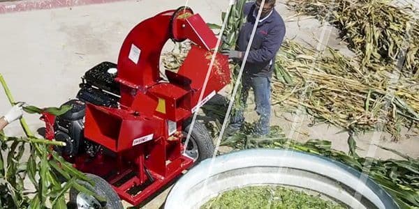 ¿Cómo Sacar el Máximo Provecho al Forraje Verde?