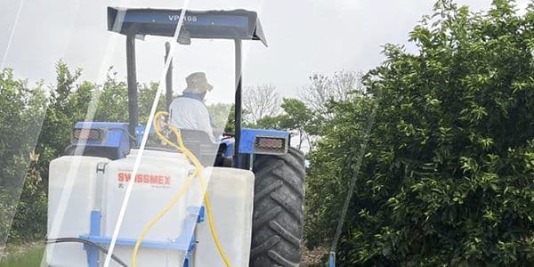 Control de maleza en árboles frutales: cómo afecta la producción y cómo combatirla