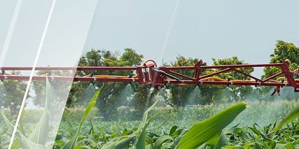 ¿Cómo controlar las plagas agrícolas?